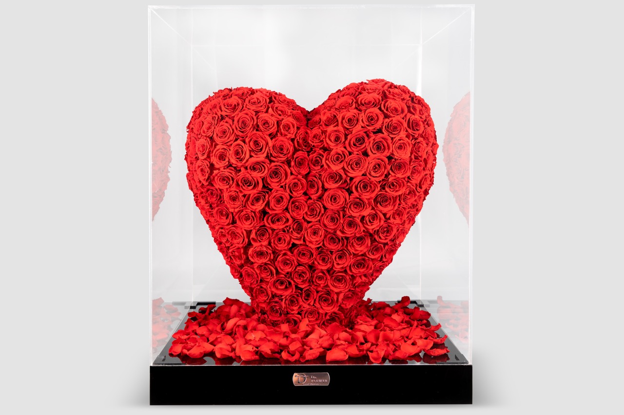 Modern acrylic box with preserved roses