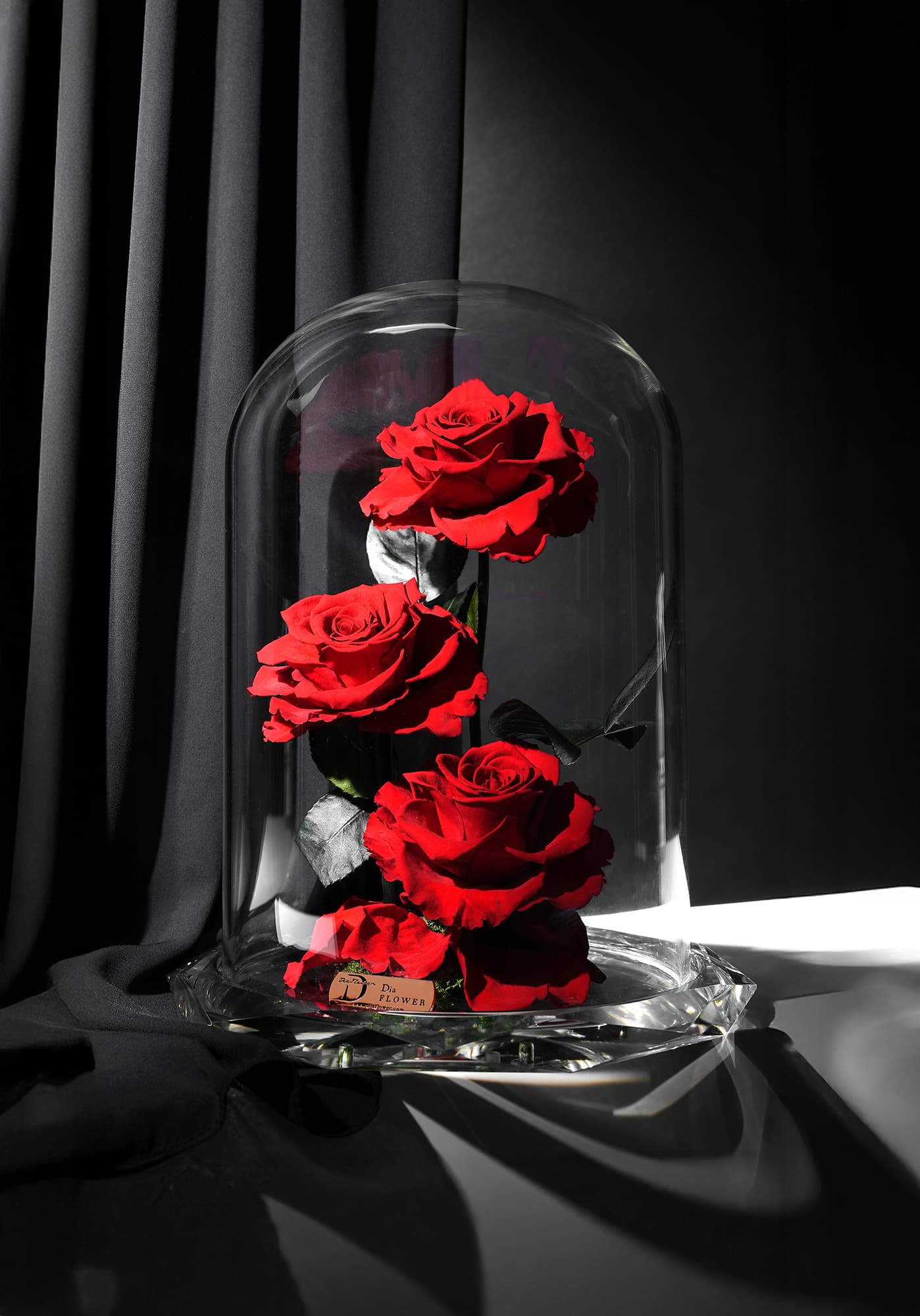 Eternal rose encased in crystal